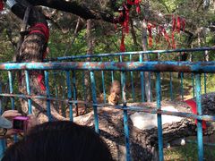 -北山公园