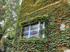 -青岛啤酒博物馆