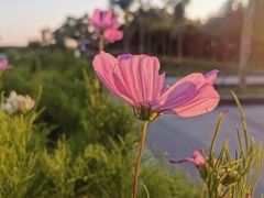 -东疆建设开发纪念公园