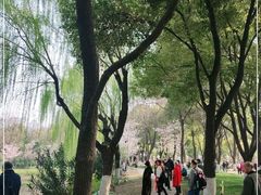 -堤角公园