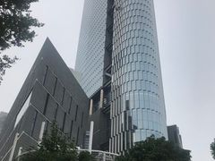 -紫峰大厦