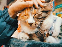 -七叔是岛民(花基新村店)