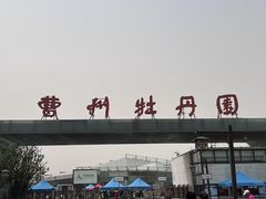 -曹州牡丹园