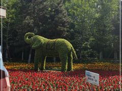 -长白岛森林公园