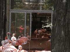 景点-北京动物园