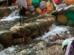 -多彩贵州城极地海洋世界