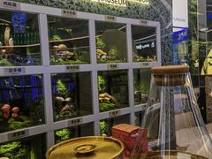 -芸山季·云南山珍菌火锅(南翔印象城MEGA店)