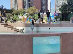 -帕帕拉兹宠物(亚洲旗舰店)