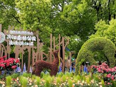 -上海滨江森林公园
