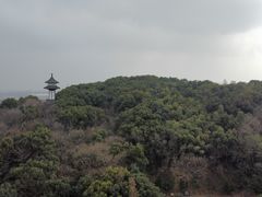 -上海佘山国家森林公园天马山园