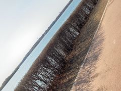 -丁香湖公园