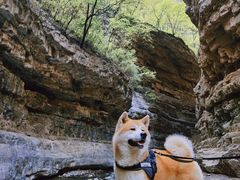 -龙门涧景区
