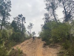 -青龙山国家森林公园