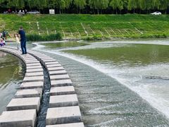 -洨河生态公园