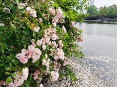 -尚贤河湿地