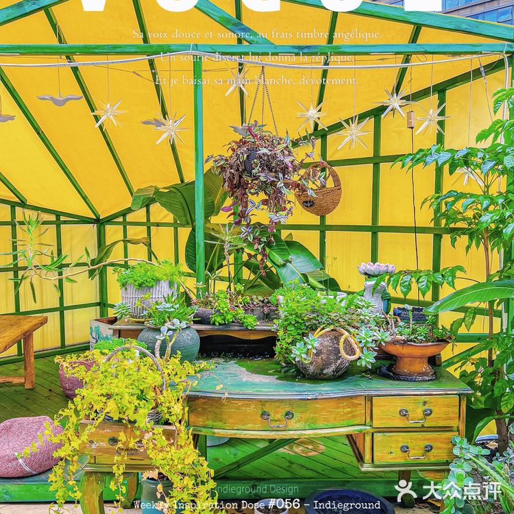 今天就解锁一家隐藏在东门的宝藏泰式料理专门店