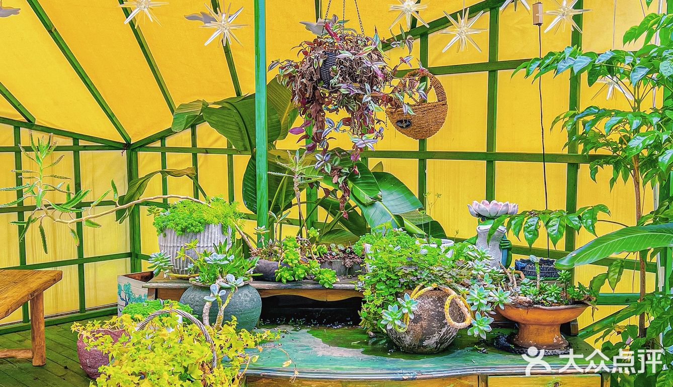 今天就解锁一家隐藏在东门的宝藏泰式料理专门店