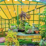 今天就解锁一家隐藏在东门的宝藏泰式料理专门店