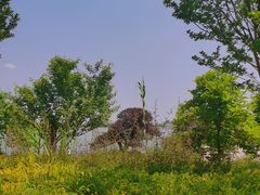 -千龙湖生态旅游度假区