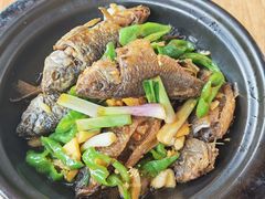 煎焗禾花鱼-山坑河鲜(昆仲楼店)