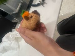 -天津万象城