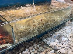 -港畔赶海蒸汽海鲜烧烤自助(仙螺岛店)
