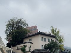 -新罗免税店(首尔总店)