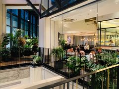 -大树餐厅(红旗街万达店)