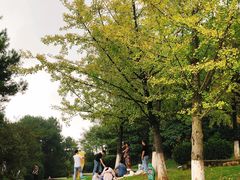 -铁山坪森林公园