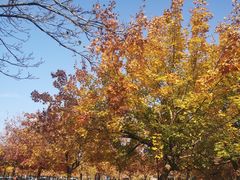 -青州市云门山风景区