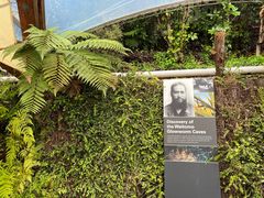 -怀托摩萤火虫洞