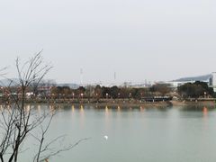 -羊山湖公园