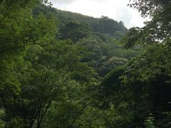 -藏龙百瀑风景区