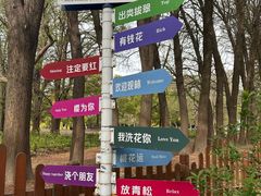 -共青国家森林公园-售票处