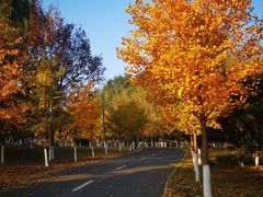 -东北大学(南湖校区)