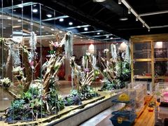 -趣陶陶艺手工坊(新世界百货重庆店)