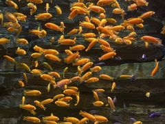 -多彩贵州城极地海洋世界