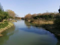 -昆山城市生态森林公园