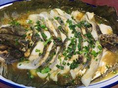 -呼吸森林·生态农庄农家乐私房菜