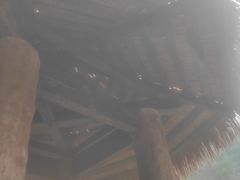 -中铁花水湾四季温泉谷