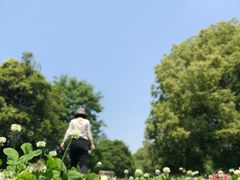 -东湖落雁景区