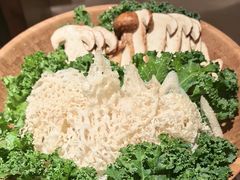 -蘑界·野生菌火锅(深业上城店)