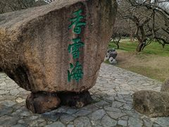 -香雪海