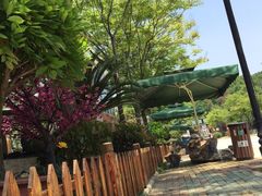 -东湖食堂·湖景餐厅•会议