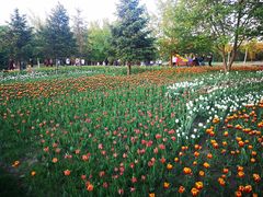 -长春公园(普阳街道)