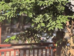 -成都市文殊院