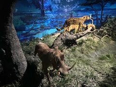 -国家自然博物馆