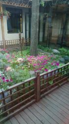 -爱儿美儿童摄影(朝阳公园店)