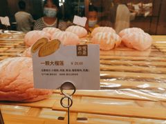 -奈雪的茶(漫广场店)