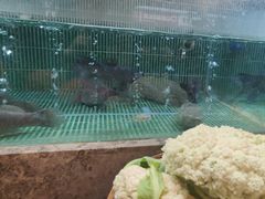 -鱼你相聚·河鲜馆(袁家岭店)